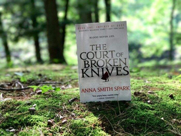 court of broken knives